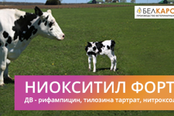 Эффективность препарата «Ниокситил форте»