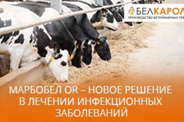 Марбобел OR – новое решение в лечении инфекционных заболеваний