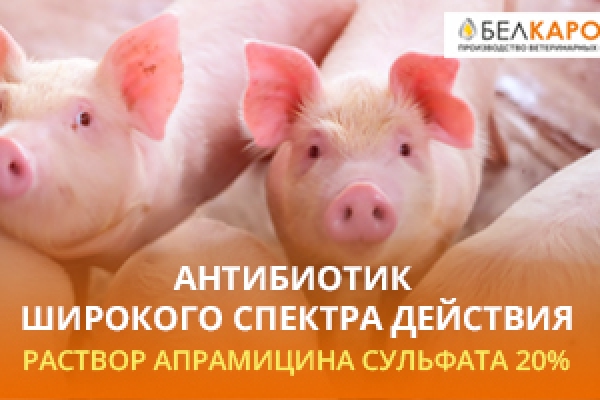 Антибиотик широкого спектра действия — раствор апрамицина сульфата 20%