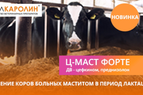 Мастит в период лактации. Что делать?