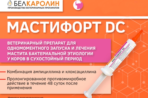 Новый препарат Мастифорт DC