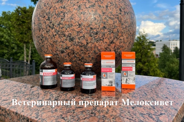 Ветеринарный препарат Мелоксивет для мелких домашних животных