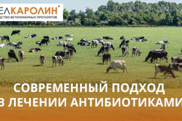 Современный подход в лечении антибиотиками