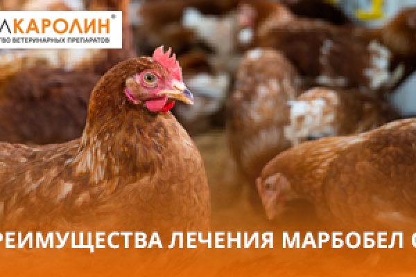 ПРЕИМУЩЕСТВА ЛЕЧЕНИЯ ПРЕПАРАТОМ МАРБОБЕЛ OR