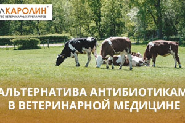 Альтернатива антибиотикам в ветеринарной медицине