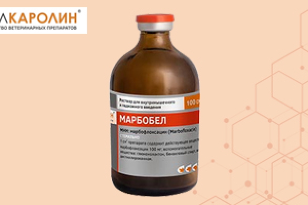 Марбобел — эффективное решение для ветеринарии