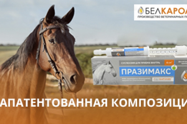 Празимакс — противопаразитарная защита лошадей