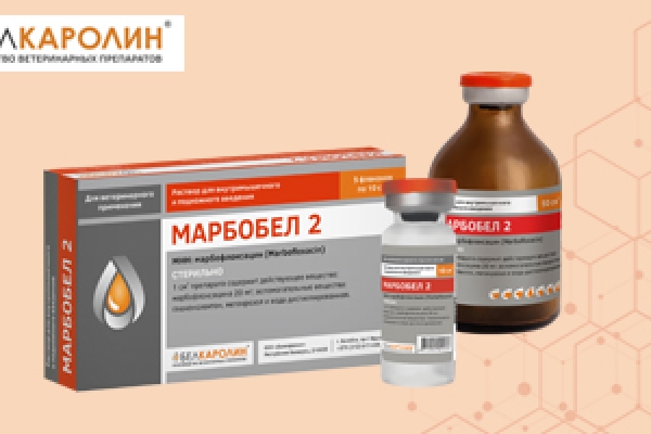Марбобел 2 — новый ветеринарный препарат