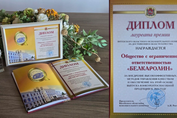 Награда, которой мы гордимся!