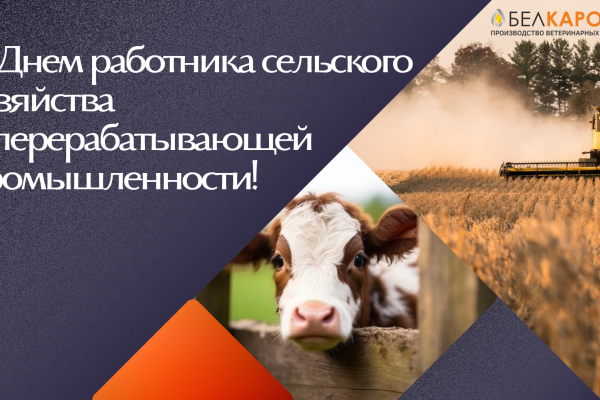 Примите наши поздравления!