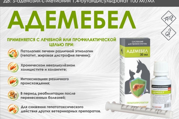 Адемебел – гепатопротектор для кошек и собак на основе адеметионина