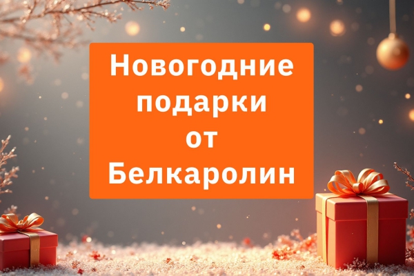Новогодние подарки от Белкаролин!