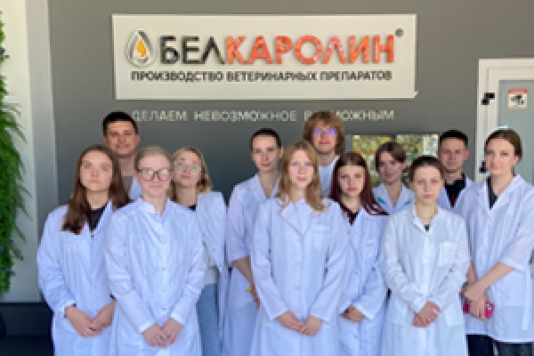 УЧЕБНАЯ ПРАКТИКА СТУДЕНТОВ ПЕРВЫХ КУРСОВ ВГАВМ на БЕЛКАРОЛИН
