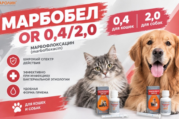 Новинка! Марбобел OR: эффективный раствор от бактерий без уколов и стресса