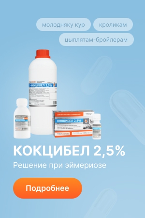 Баннер в каталоге