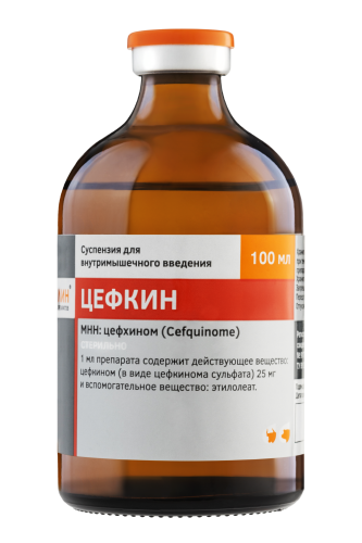 Цефкин