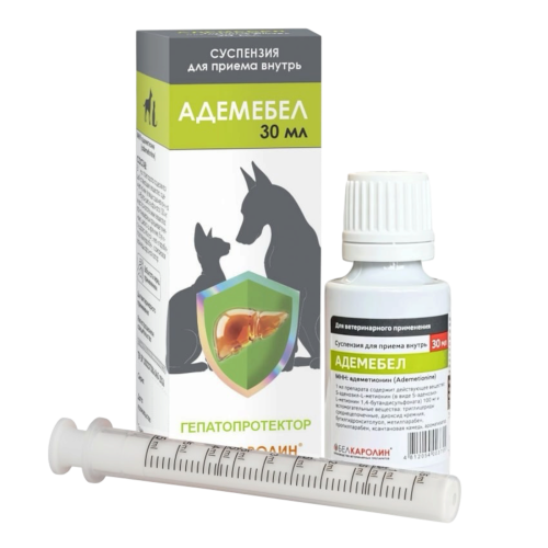 Адемебел