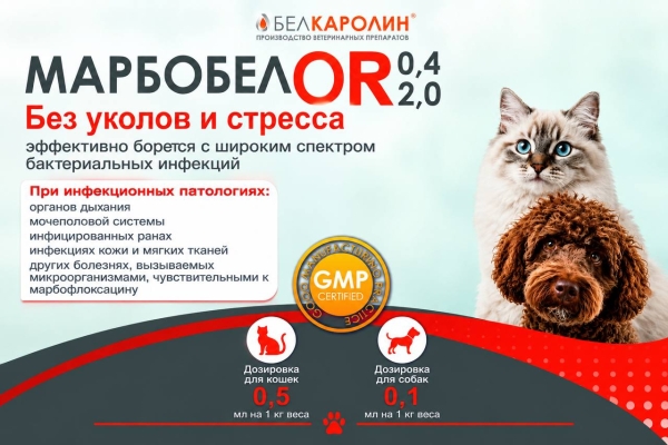 Марбобел OR 0,4 и OR 2,0 антибактериальные препараты системного действия.