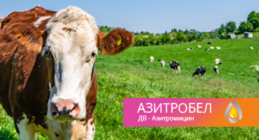 Азитробел - антибиотик широкого спектра действия - ООО "Белкаролин"