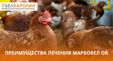 ПРЕИМУЩЕСТВА ЛЕЧЕНИЯ ПРЕПАРАТОМ МАРБОБЕЛ OR - ООО "Белкаролин"